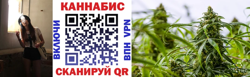 Купить где  Зарайск  Бошки марихуана ГИДРОПОН 